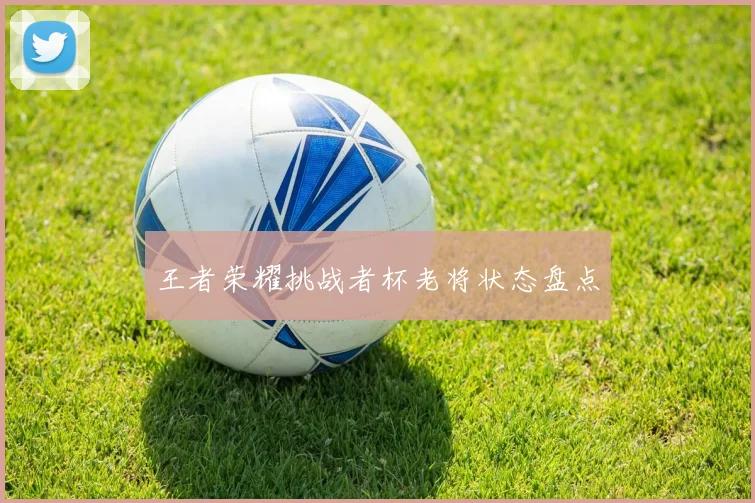 王者荣耀挑战者杯老将状态盘点